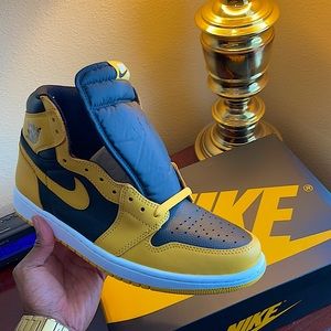 Air Jordan Retro 1 Pollen size 10.5